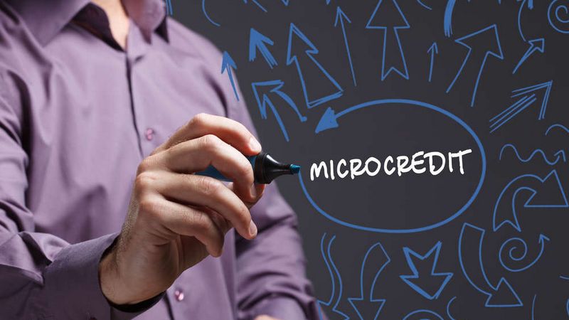 Как правильно выбрать МФО для получения микрозайма